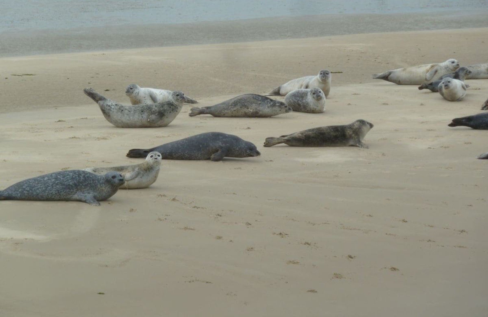 Christoffellaan 101 8