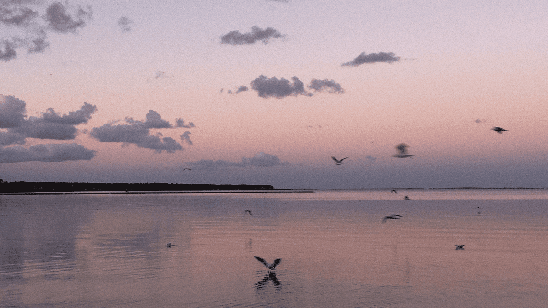 Rondvaart over het Grevelingenmeer